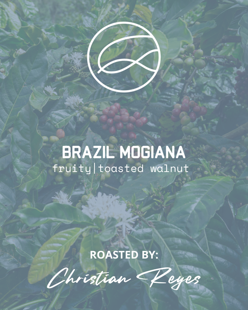 BRAZIL MOGIANA