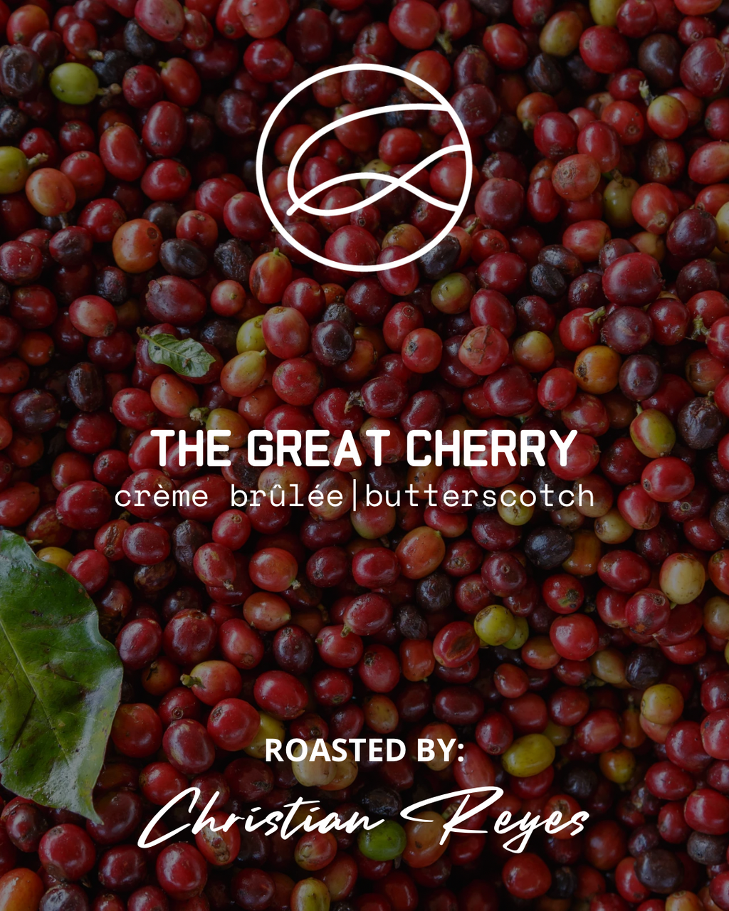 THE GREAT CHERRY