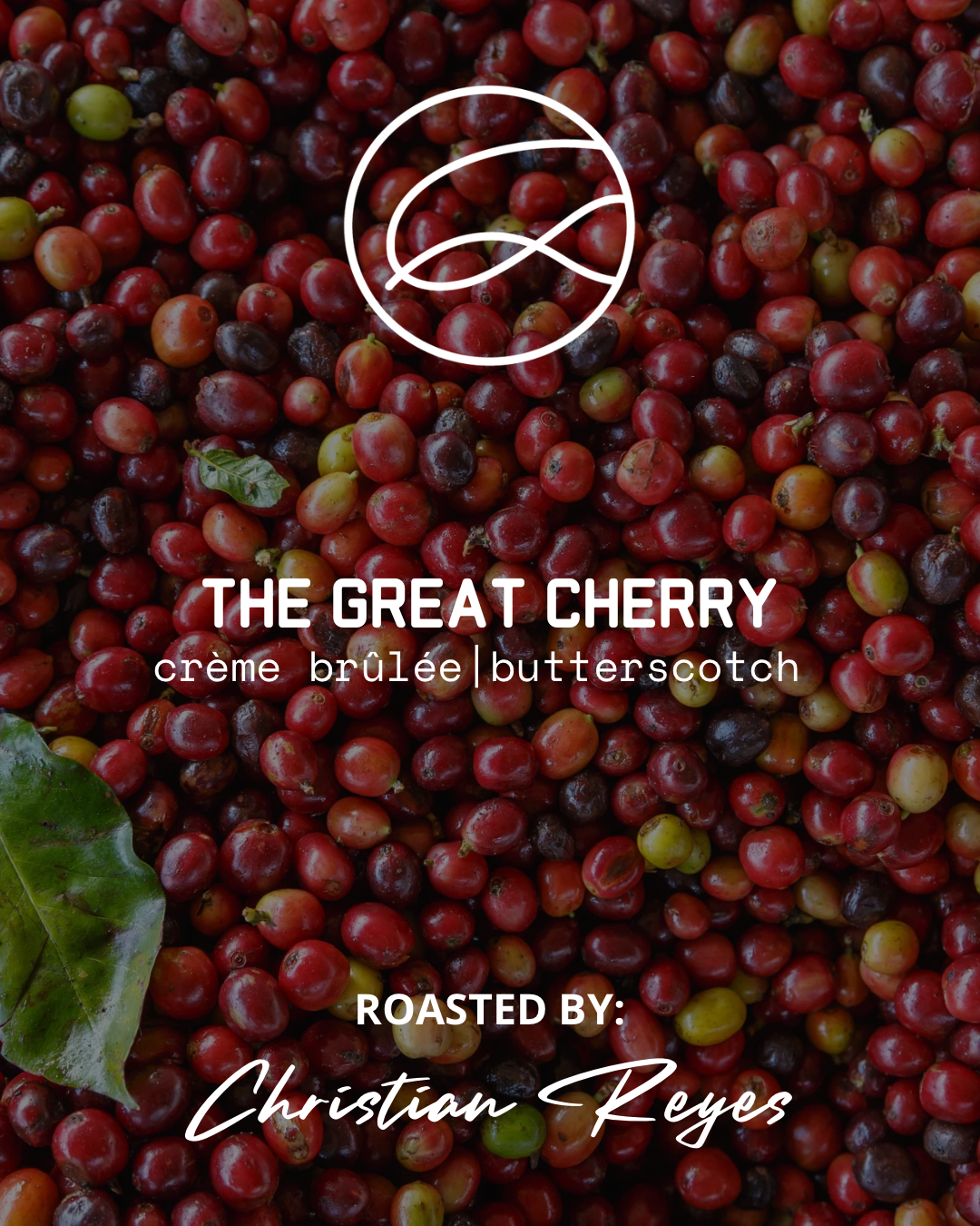 THE GREAT CHERRY