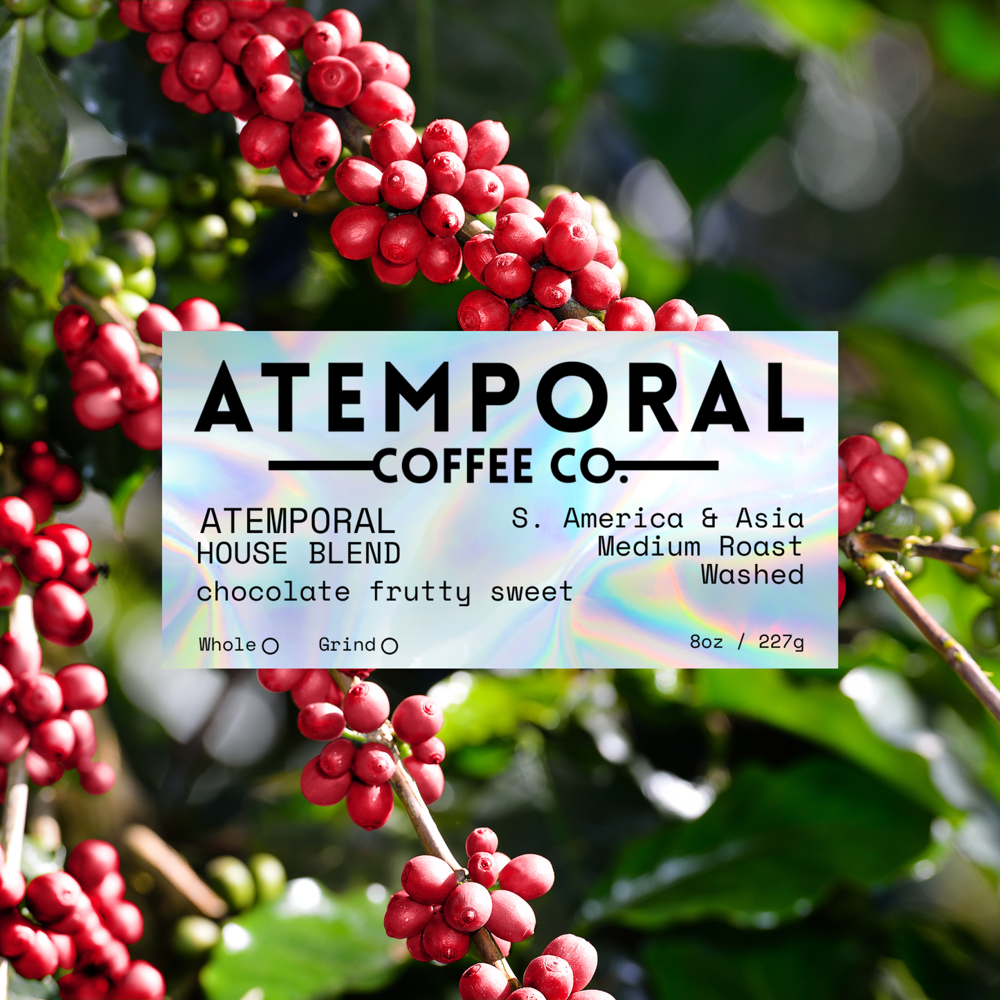 ATEMPORAL HOUSE BLEND