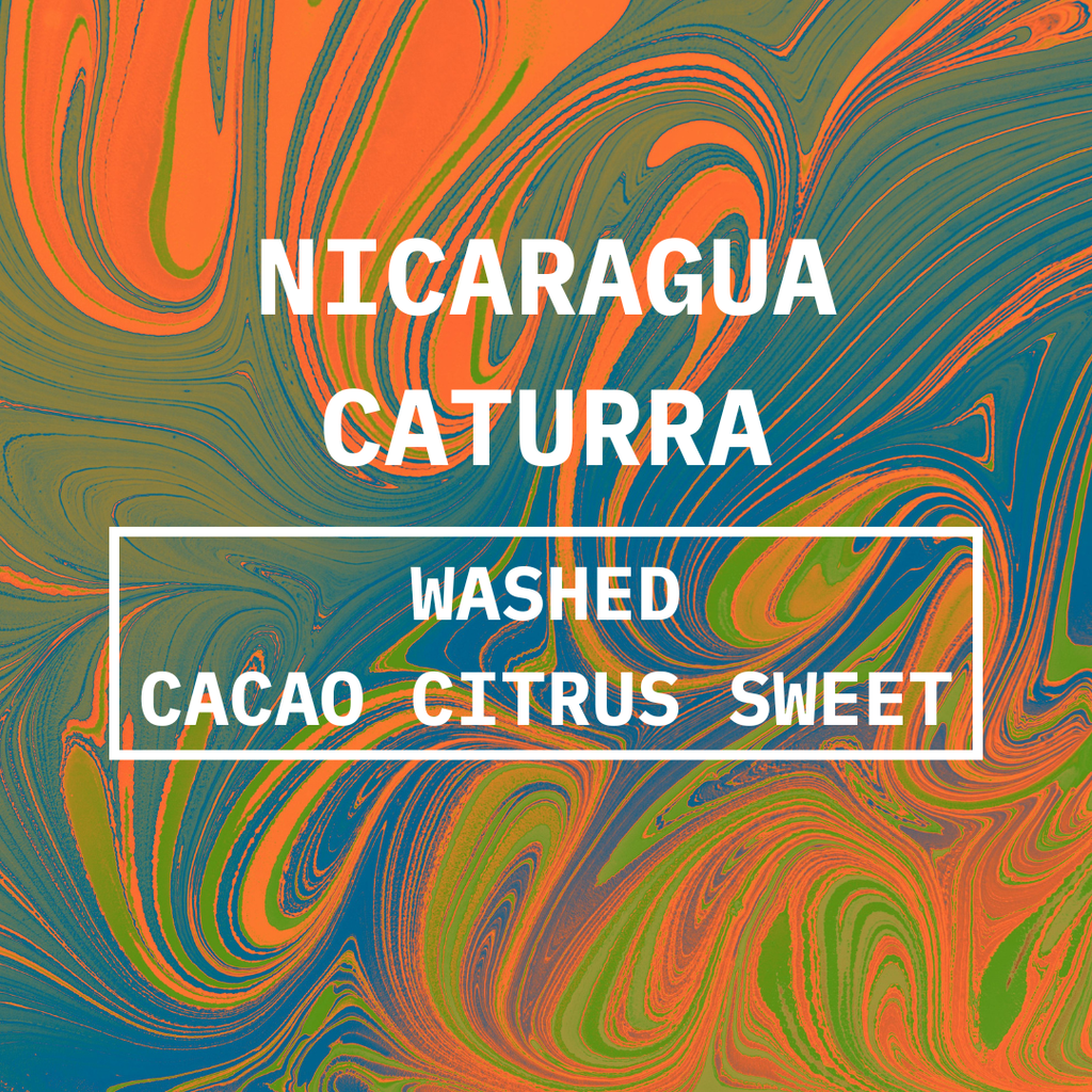 NICARAGUA CATURRA